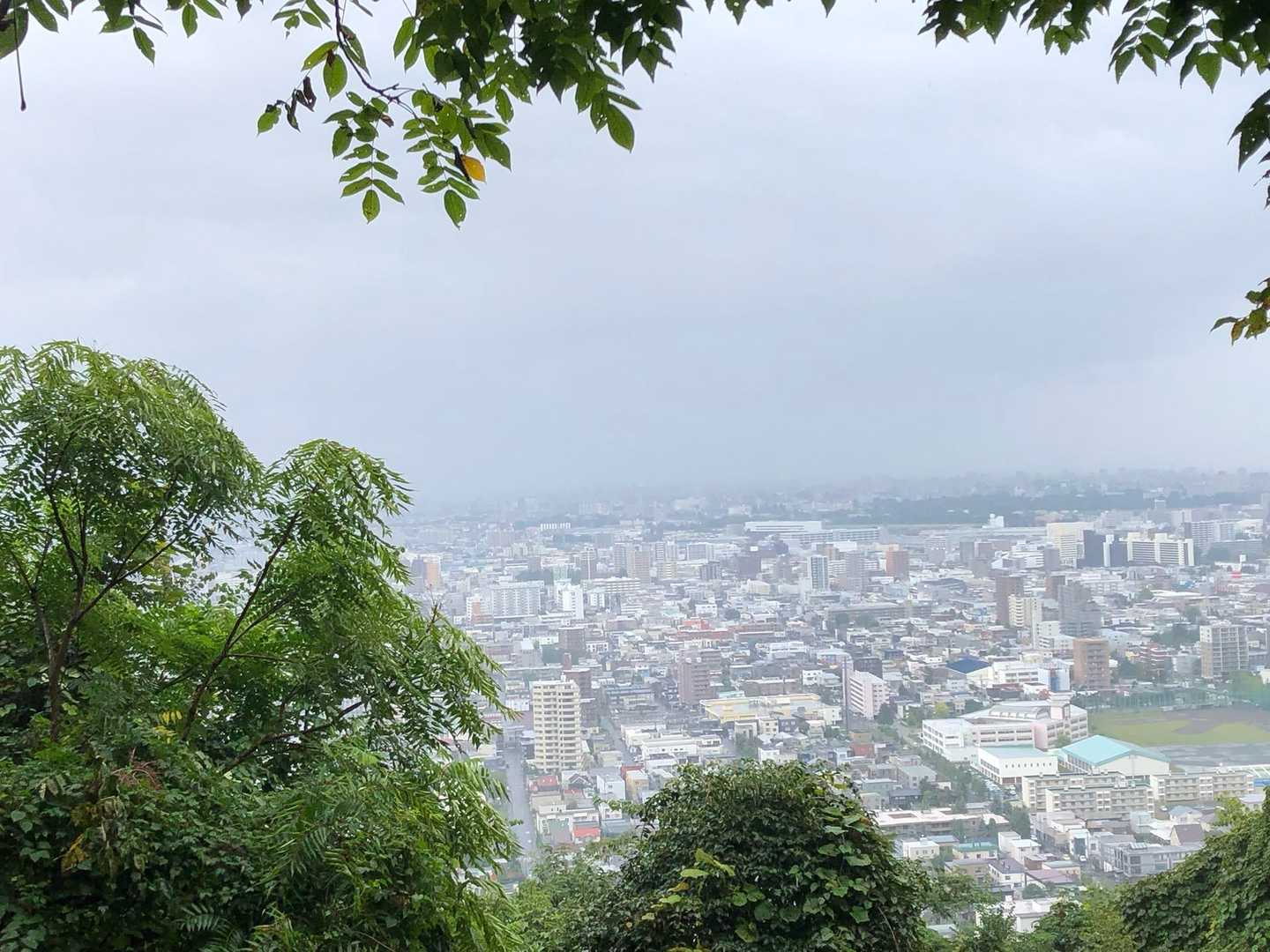 二人静か散歩道

ボタボタ、ダーッ☔️
音のわりに濡れない散歩道。