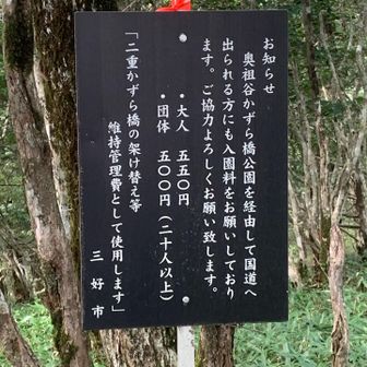 かずら橋の協力金のお知らせ
