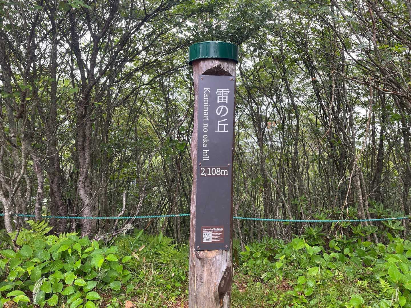 雷の丘。
ピークではない💦