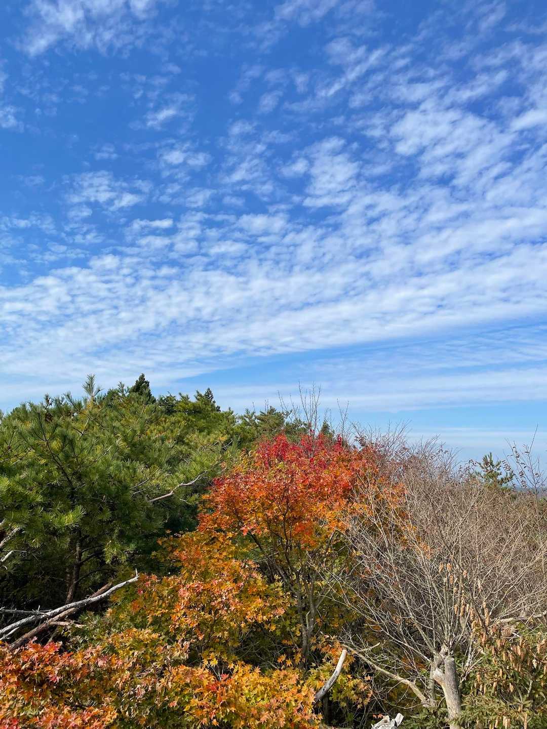 竪破山登山口-黒前神社-竪破山 周回コースの写真