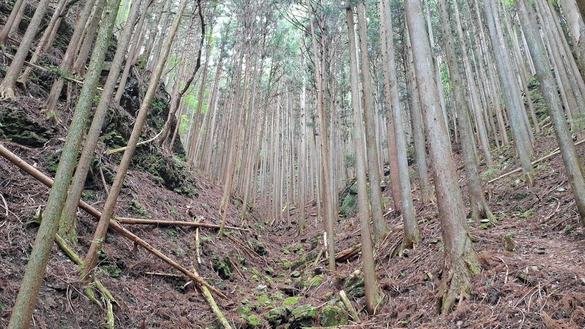 名郷バス停-蕨山 往復コースの写真