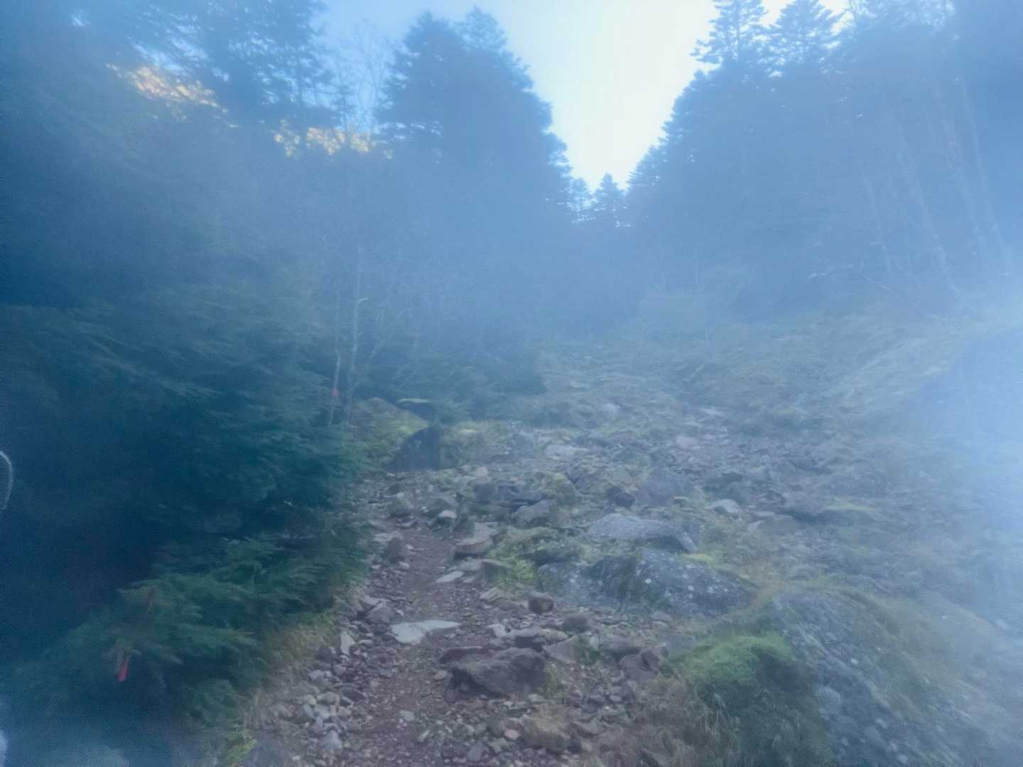 美濃戸口登山口-美濃戸登山口-地蔵ノ頭-赤岳 往復コースの写真