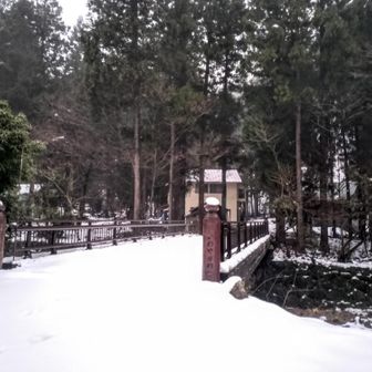 岩屋川を渡る。
この雪で少しは薮が大人しくなってるかな？