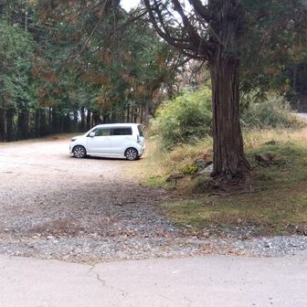 わかっちゃいたけど本日の水神社ルートは、入山者ぽんたのみ😂