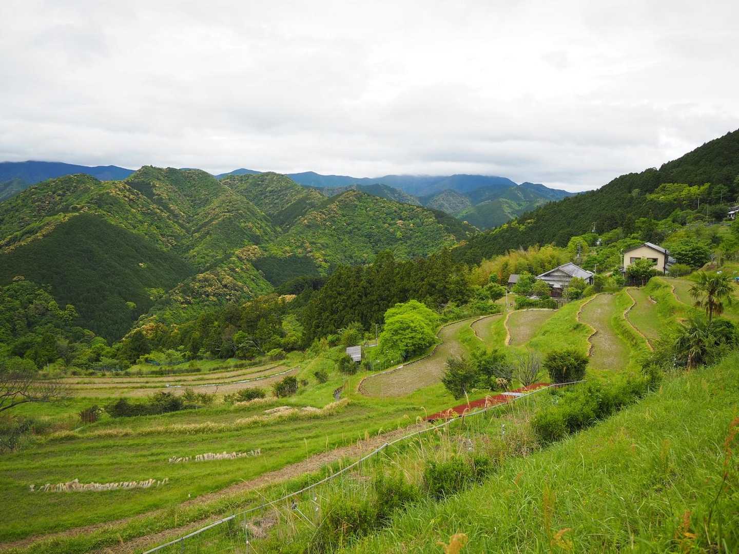 棚田。田植え前でしたが、田植え後は美しいでしょうね。