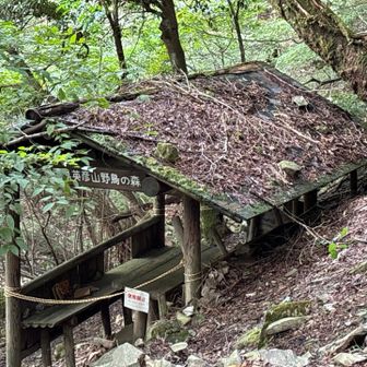 もう使われてない野鳥観察場