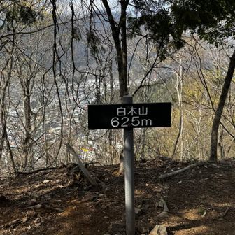 白木山着