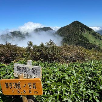 ニノ森で昼ごはん食べて、帰りに鞍瀬ヘッドへ。ニノ森に比べて笹が低くて歩き易い！