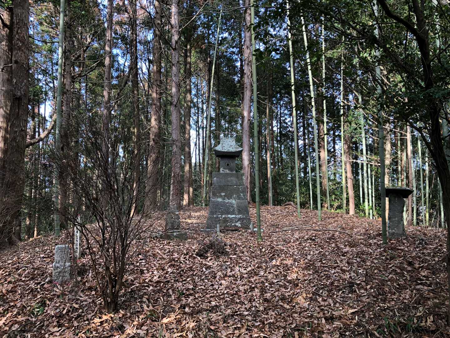 山頂はスッキリ広々してます。