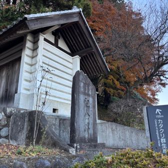 へー👀カタクリ群生地だって！