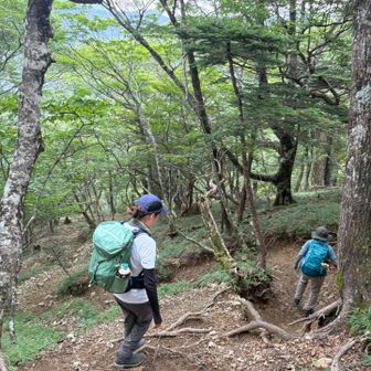 ツヅラ折り…
雨がたまにポツリ、雷がゴロゴロ