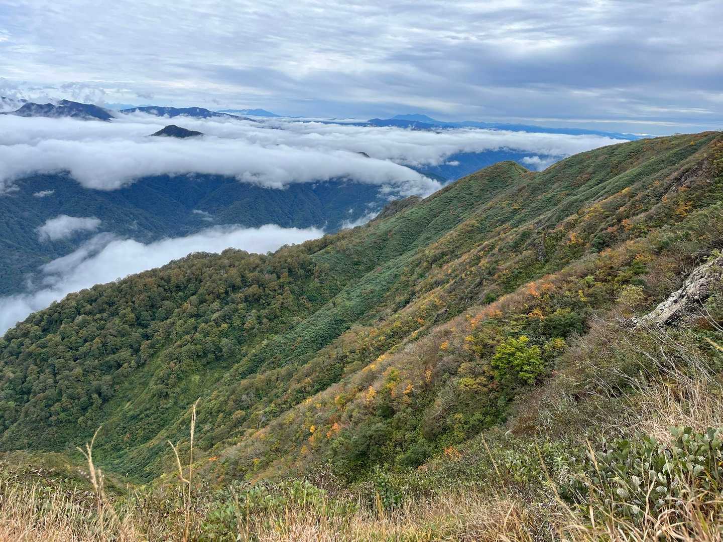 荒島岳中出コース登山口-小荒島岳-シャクナゲ平-荒島岳 往復コースの写真