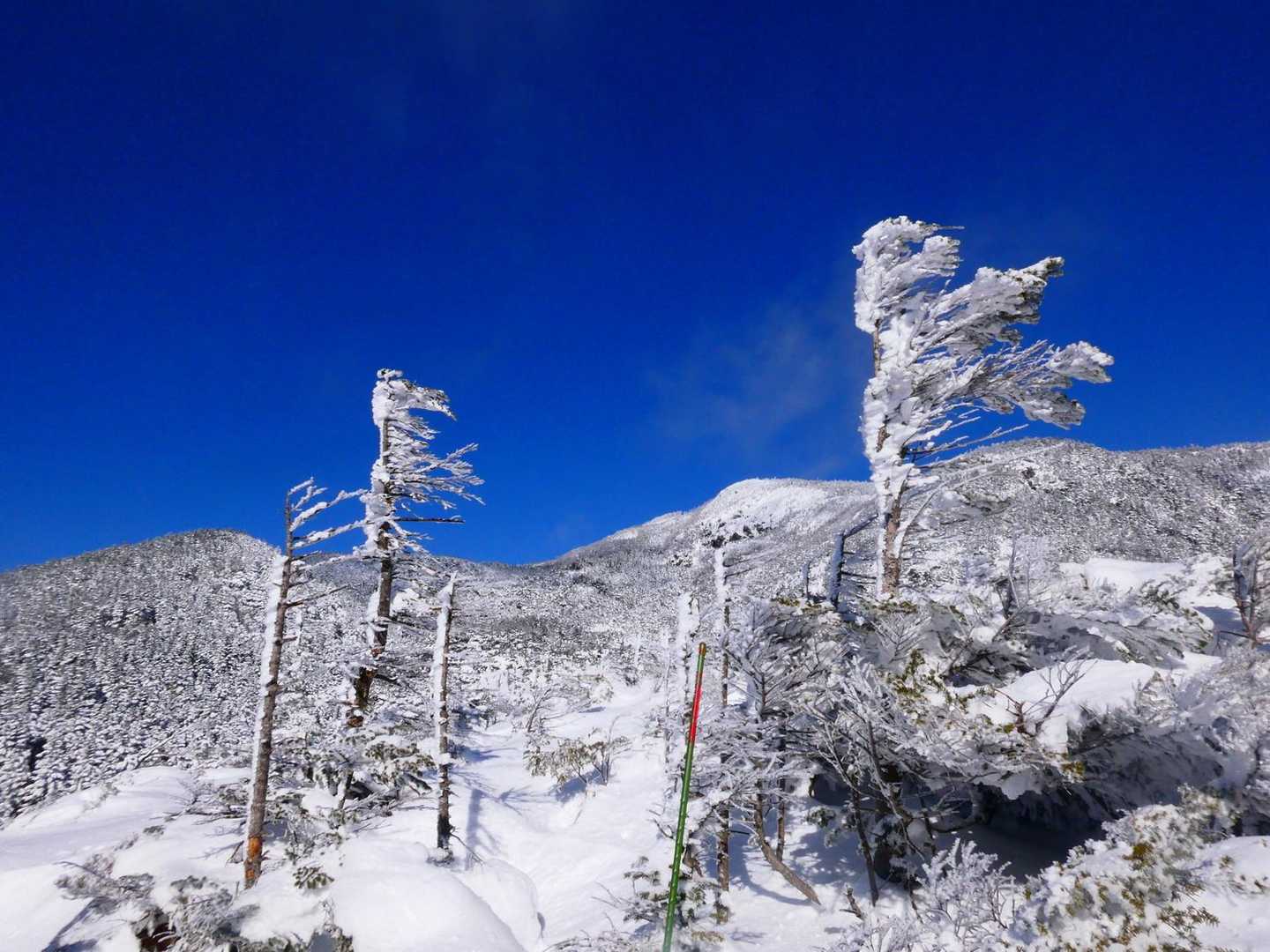 渋の湯バス停-渋ノ湯登山口-麦草峠-大石峠-中小場-縞枯山 縦走コースの写真