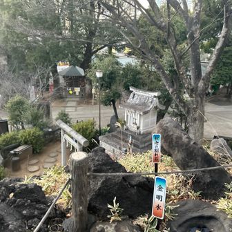 山頂からの風景