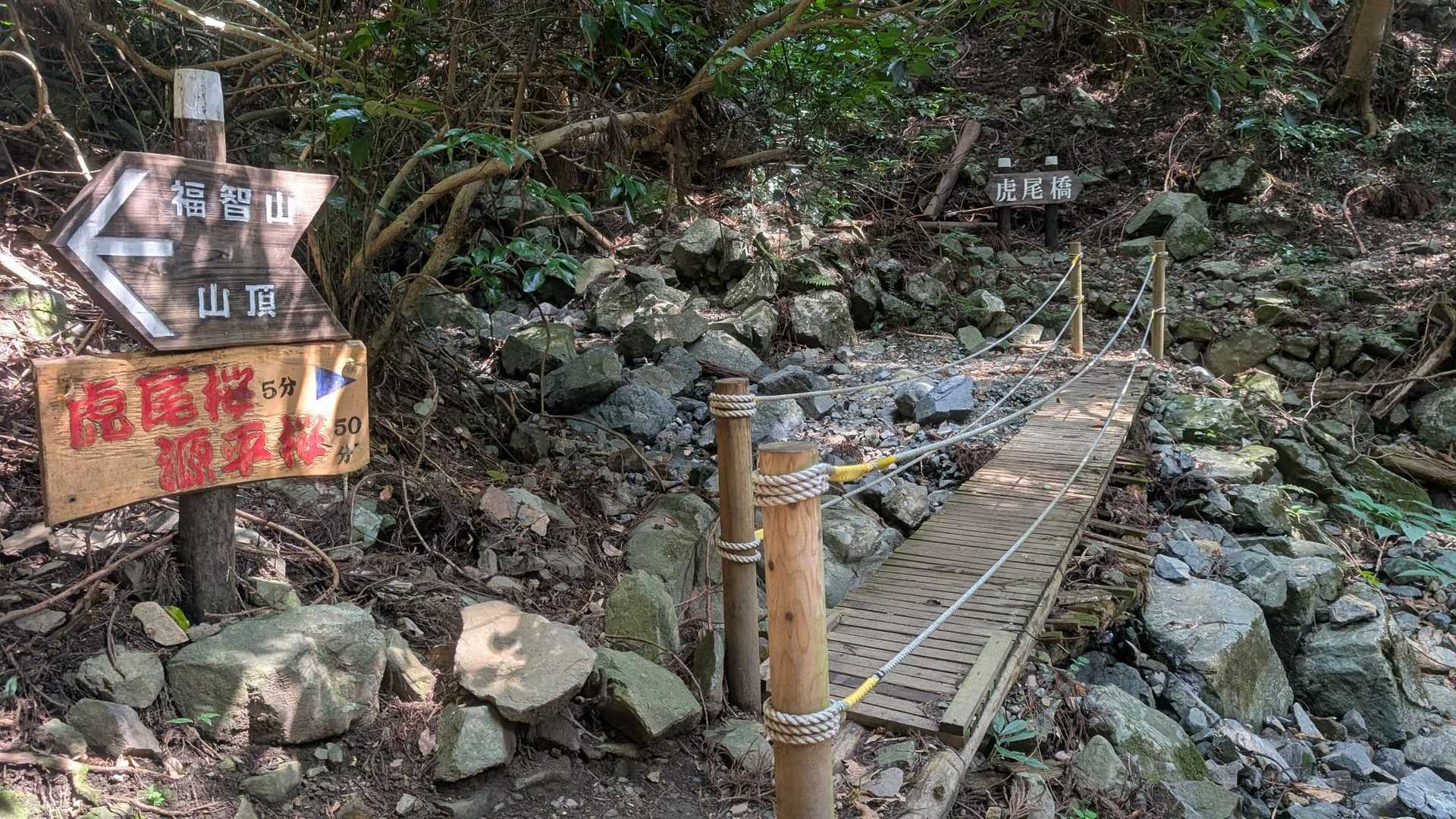 今日は渡りません