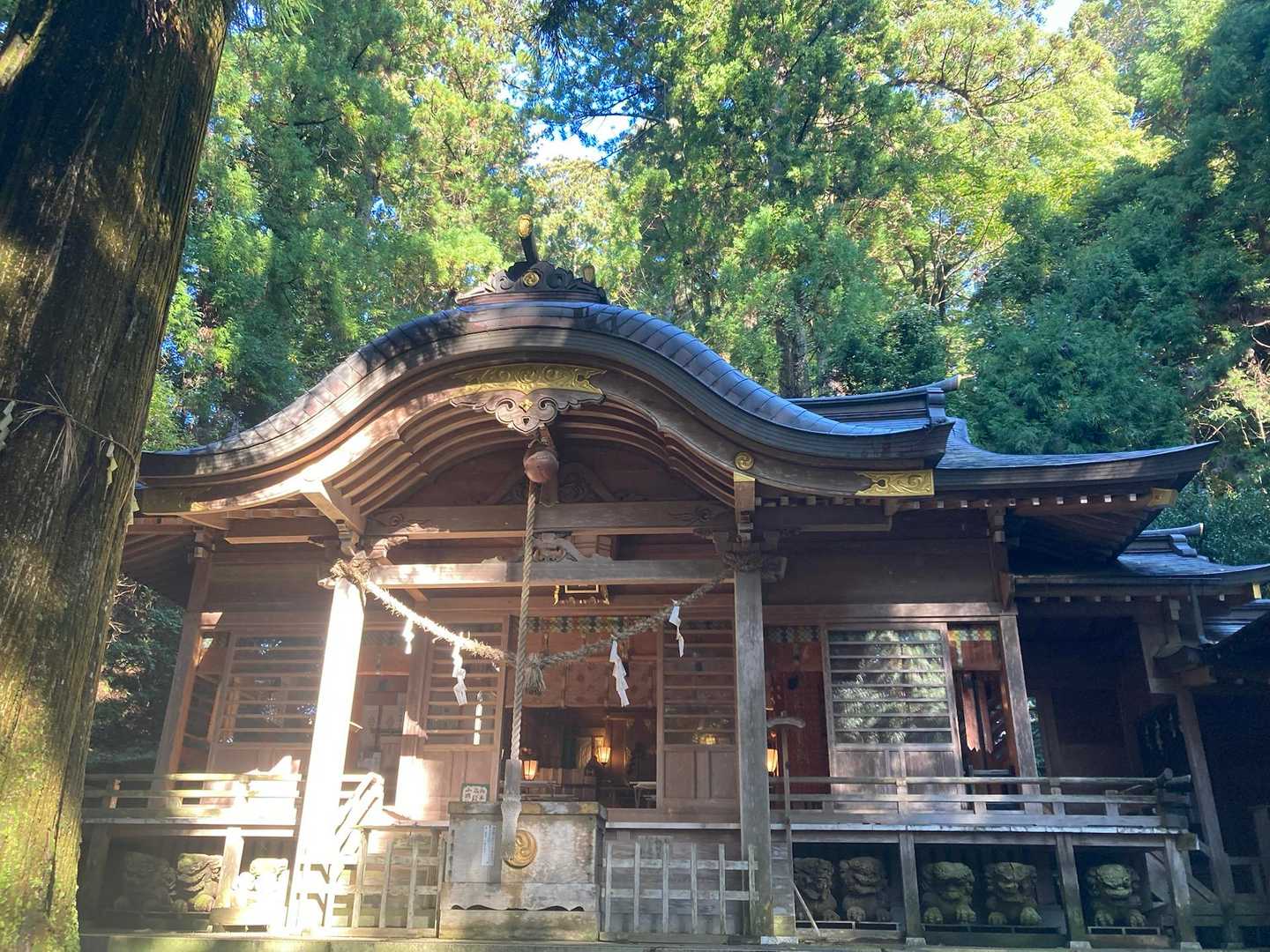 戻ってきました♪
一安心