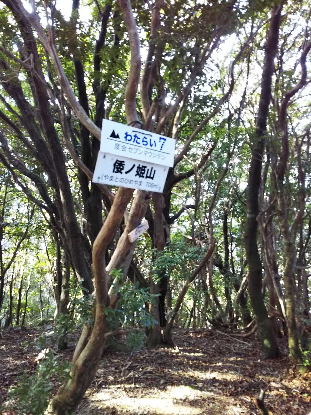 倭ノ姫山 山頂