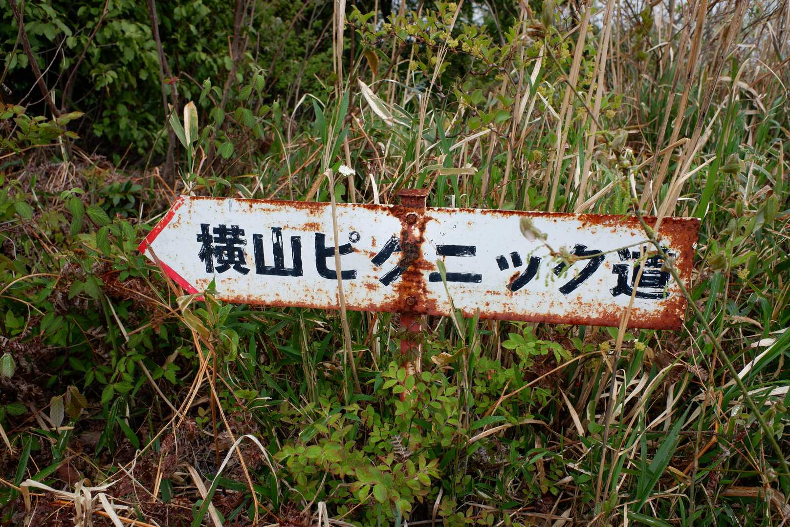 昔の看板だろう