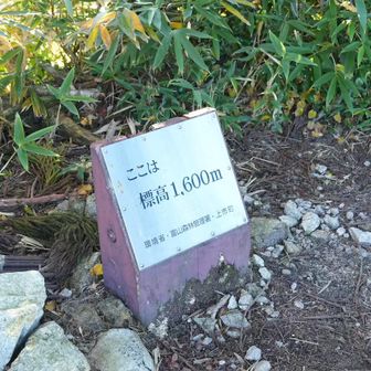 早月小屋から約１時間３５分、標高１,６００ｍ地点。