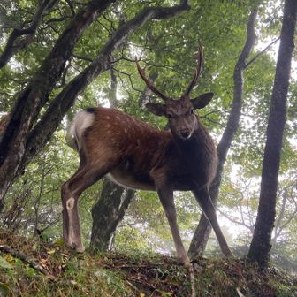 なんか怒っていますか？
ゴメンヨ