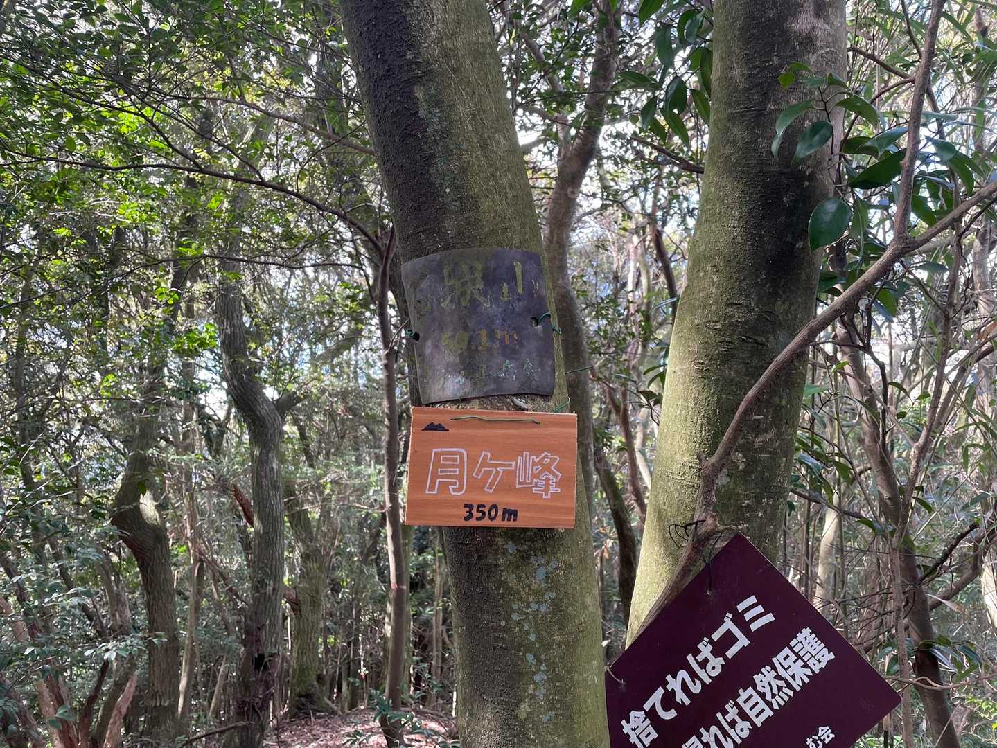月ヶ峰到着❗️看板が新しい😊
整備されている方が居られるのか☺️
