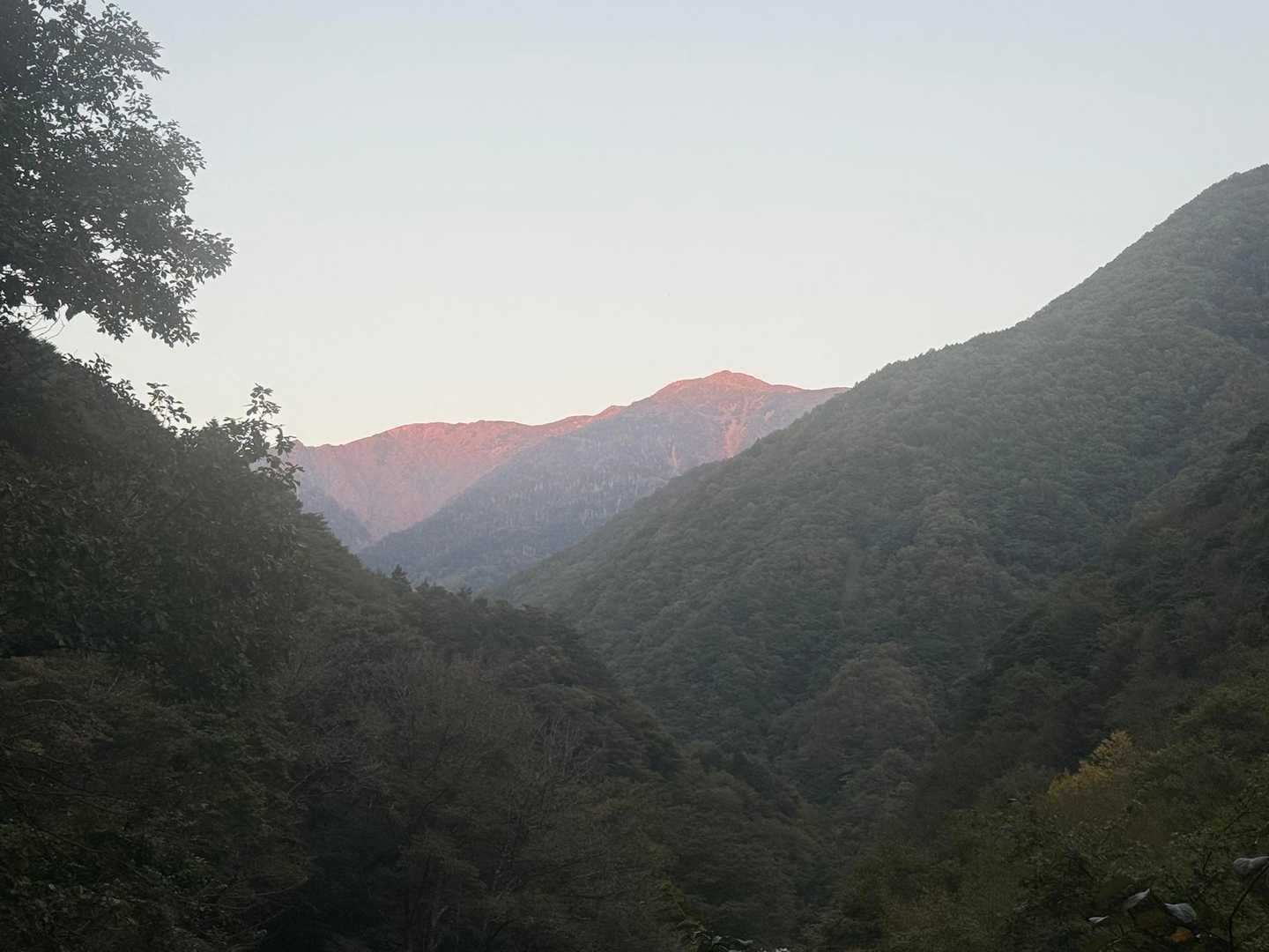 便ヶ島から芝沢ゲートへの林道から赤焼けの聖岳
