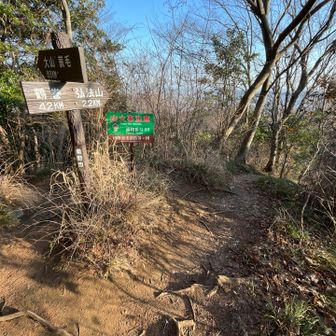◯念仏山
弘法山方面へ進みます。
来た道とは鋭角に交差してます。