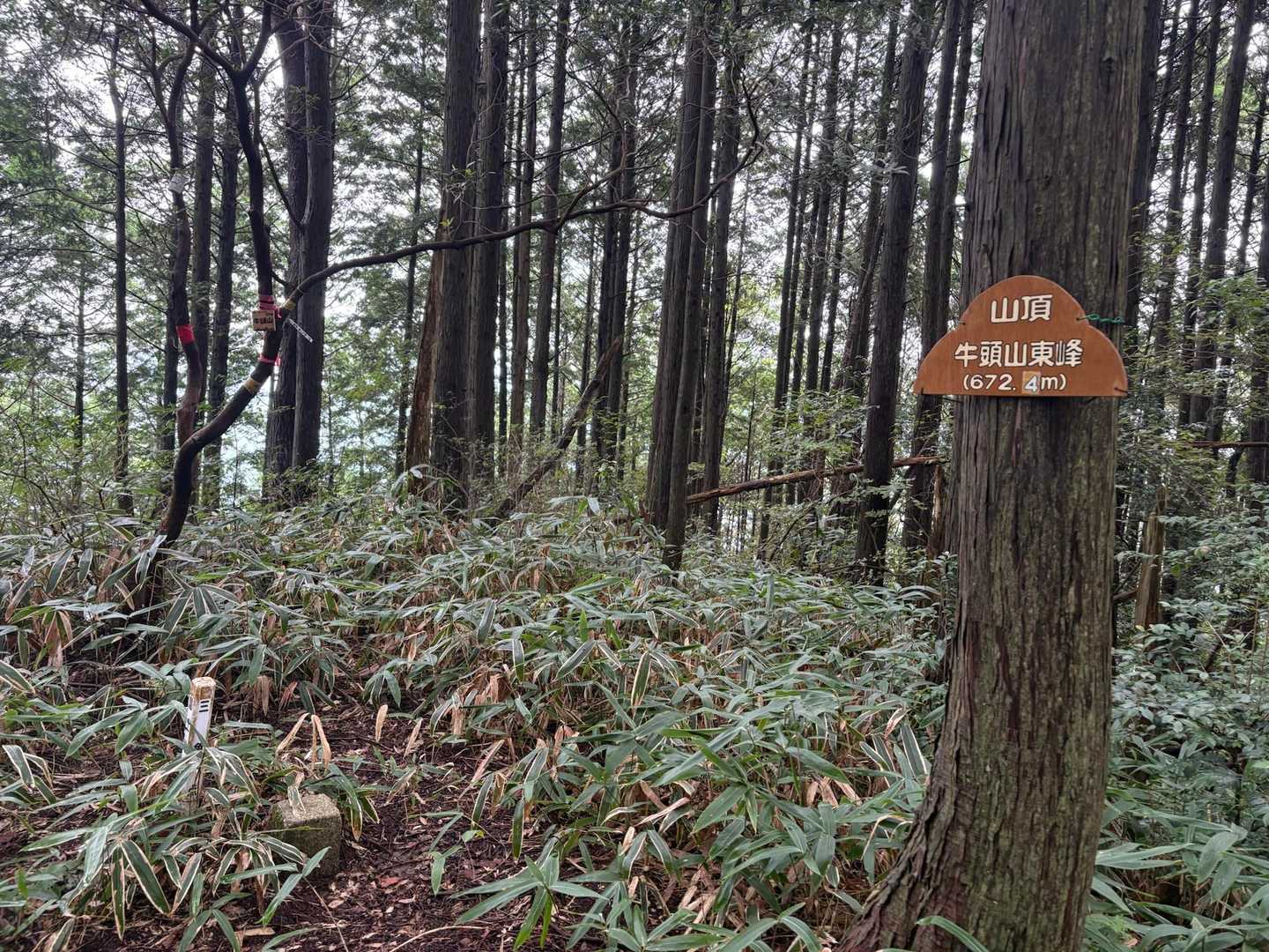 牛頭山東峰△  眺めなし〜