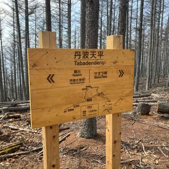 タバデンデイロって読むのね