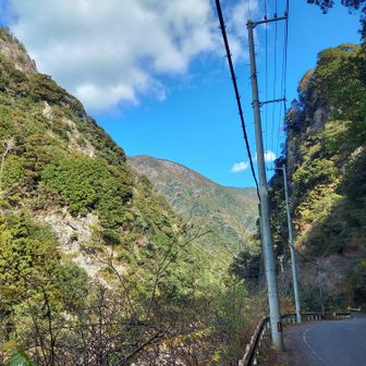 左の斜面がさっき言った崖で🧗‍♀️
奥の尾根は横峰の東尾根です
ここも踏査しなければ...
やりたい事いっぱいあります✨