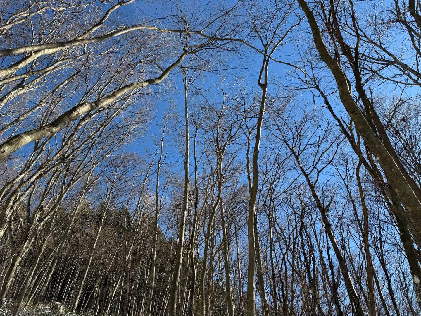 最高のブルー🟦