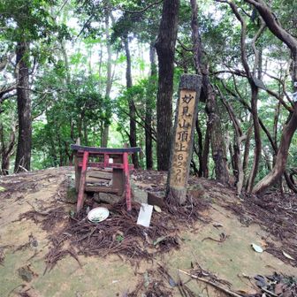 無事山頂に到着、眺望は良くないです。