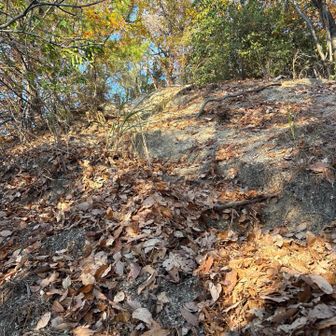 　　しかし‼️めちゃめちゃ急登🤣

　　ザレザレと落ち葉で滑りそう🍂