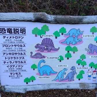 なんの事はない置物ですが、子供の頃の気分に少しだけ戻れました