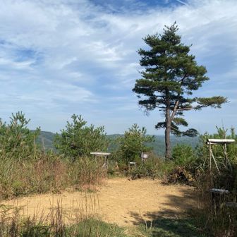 山頂は屋敷跡(城跡)ということで、面白い。