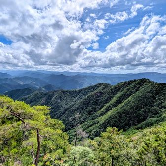 北遠方面
緩やかなピークは竜頭山かな…