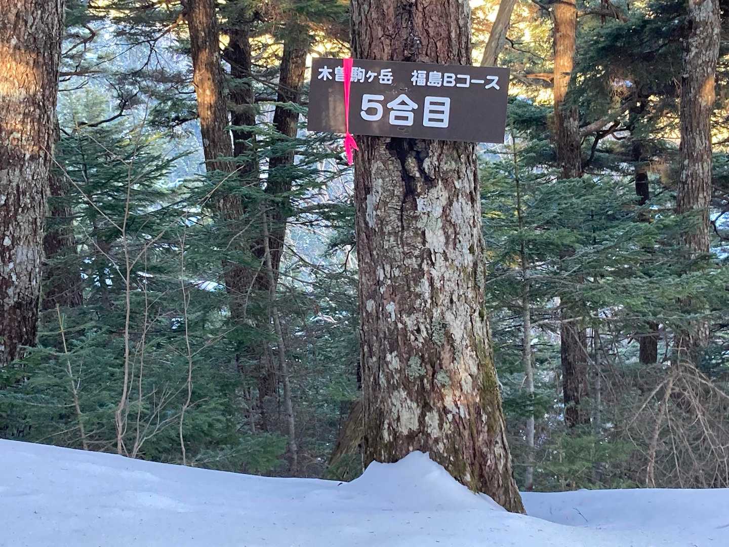 5合目〜💦