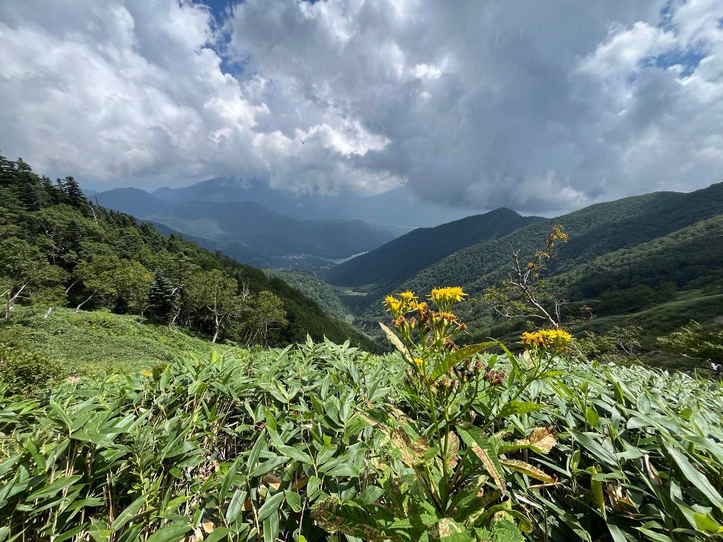 金精峠登山口-金精峠-金精山-五色山 往復コースの写真