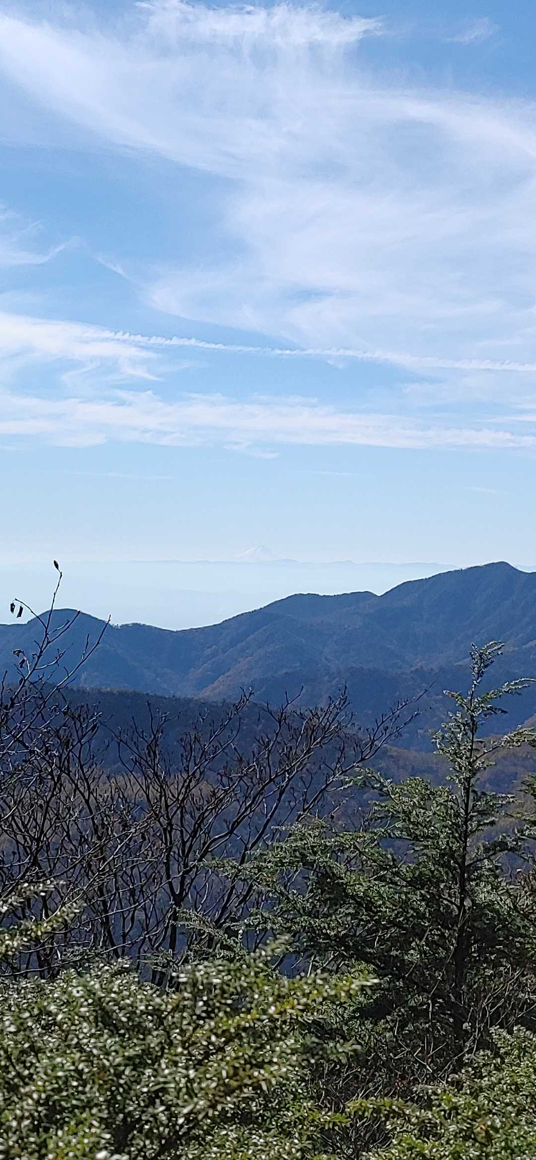 とおーーーくに富士山！！！！