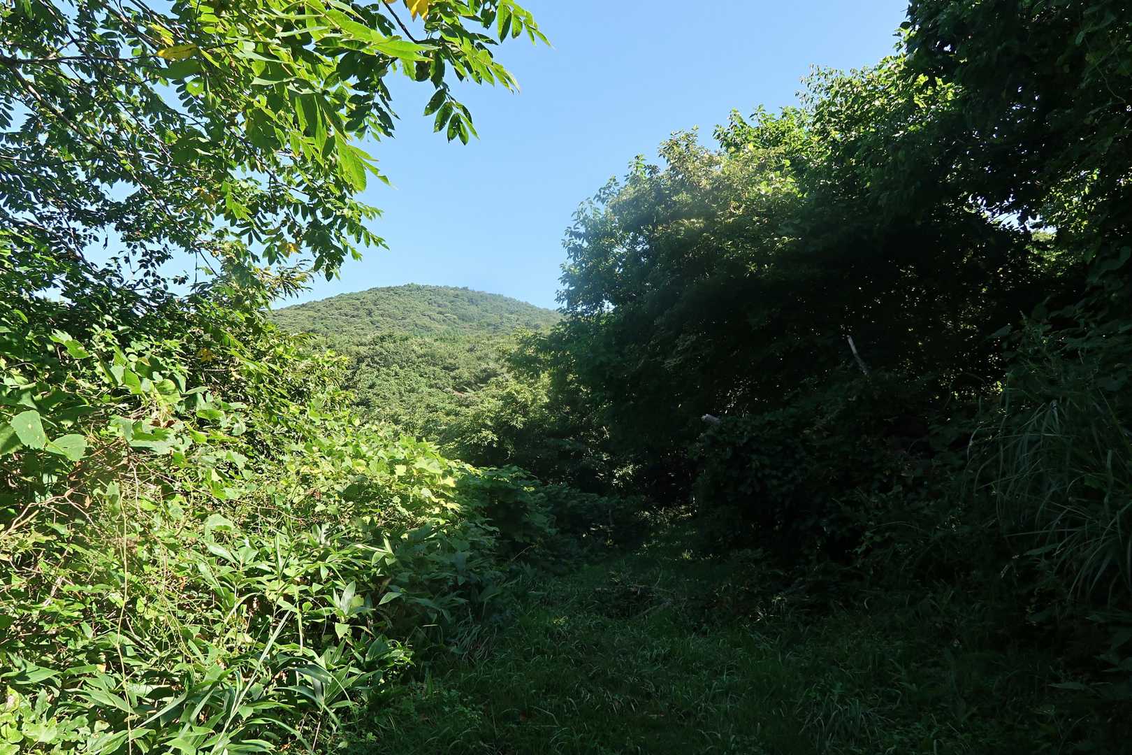 中間地点より望む矢大臣山⛰️