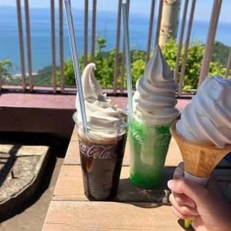 かき氷ソフトとコーヒーフロート各650円
ソフトクリームが濃厚で美味しかったです。コーヒーはさっぱりめ。
ソフトクリームを作ってくれる店員さんがすごく上手で、モリモリ巻き上げてくれました。
大人の母はペロリと完食しましたが、食べるのが遅い子供達は最後の方溶けてくるアイスと戦っていました。