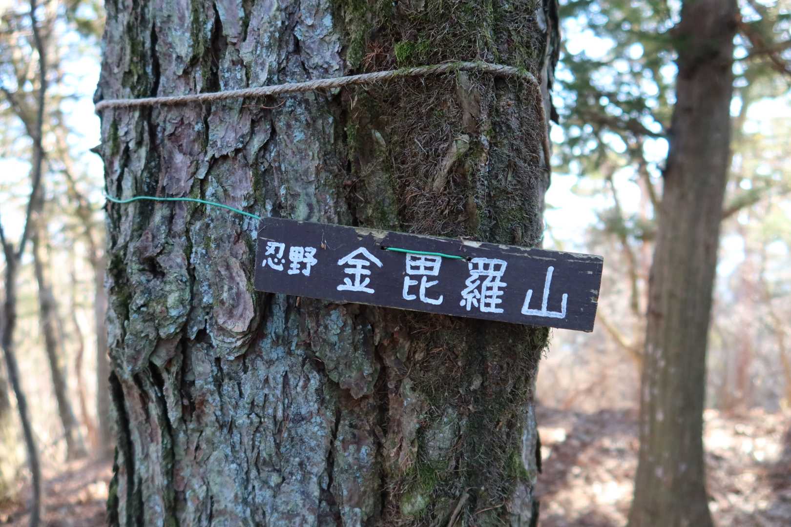 周回して鳥居地峠まで戻りましたが、もうちょっと歩きたくなりピークハントを続けました
先ずは金毘羅山