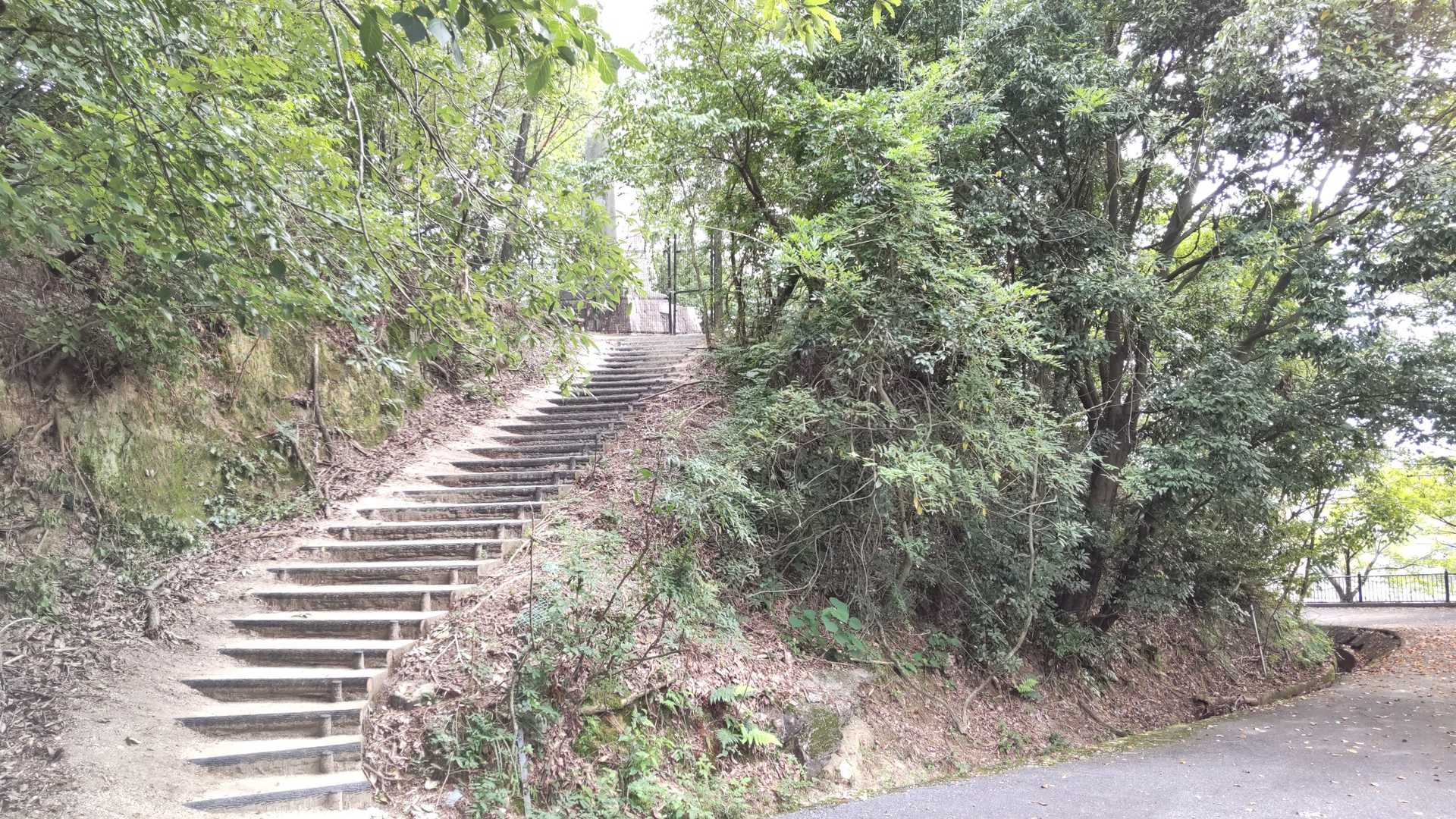 見立山ロードから🚶💨