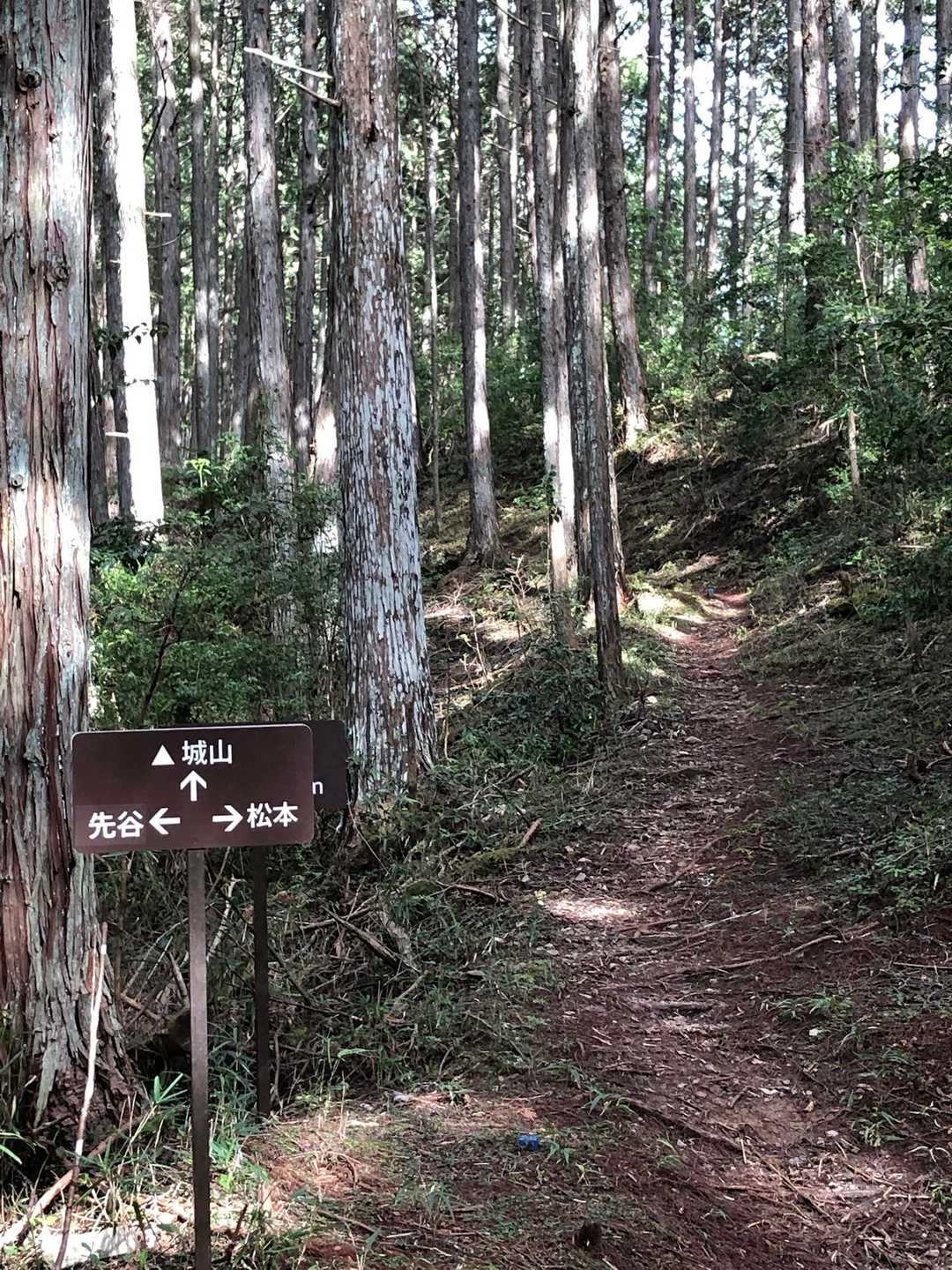 先谷登山口-松本峠-城山 往復コースの写真