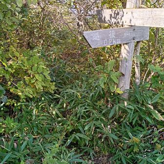 分岐点から多里大山へ