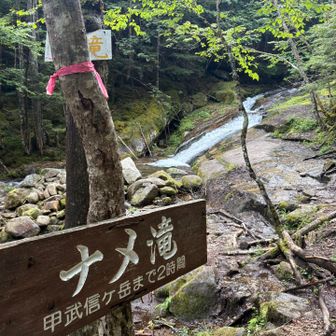 ナメ滝！水が豊富です！