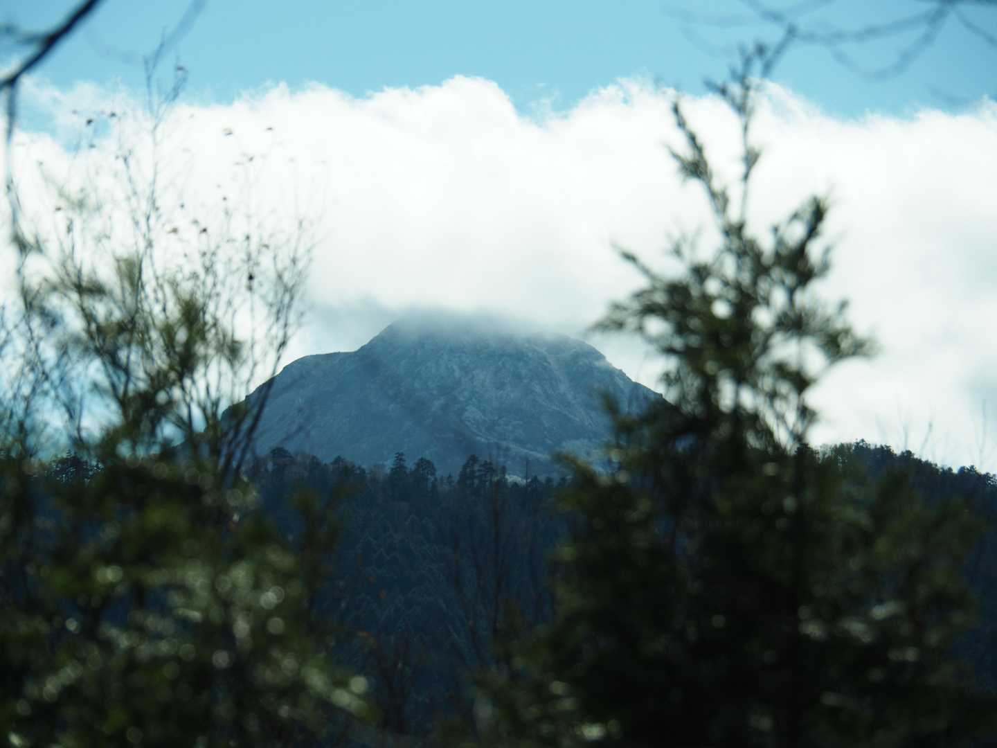 日光白根山
山頂は雲