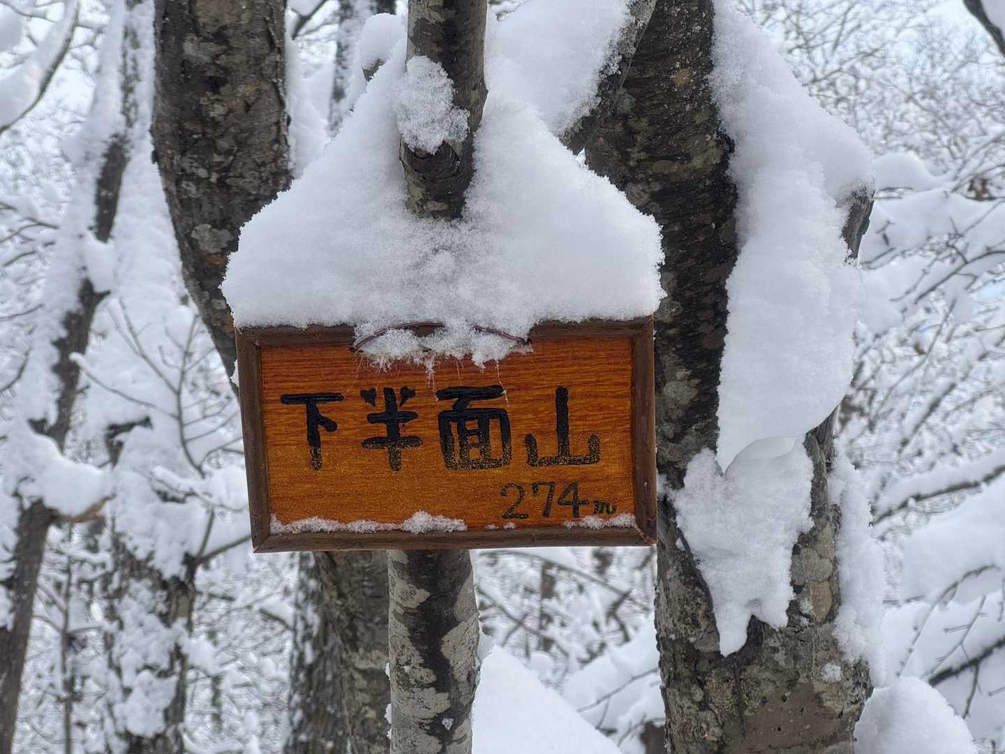 新しい山頂標識✨カワユスね🫶