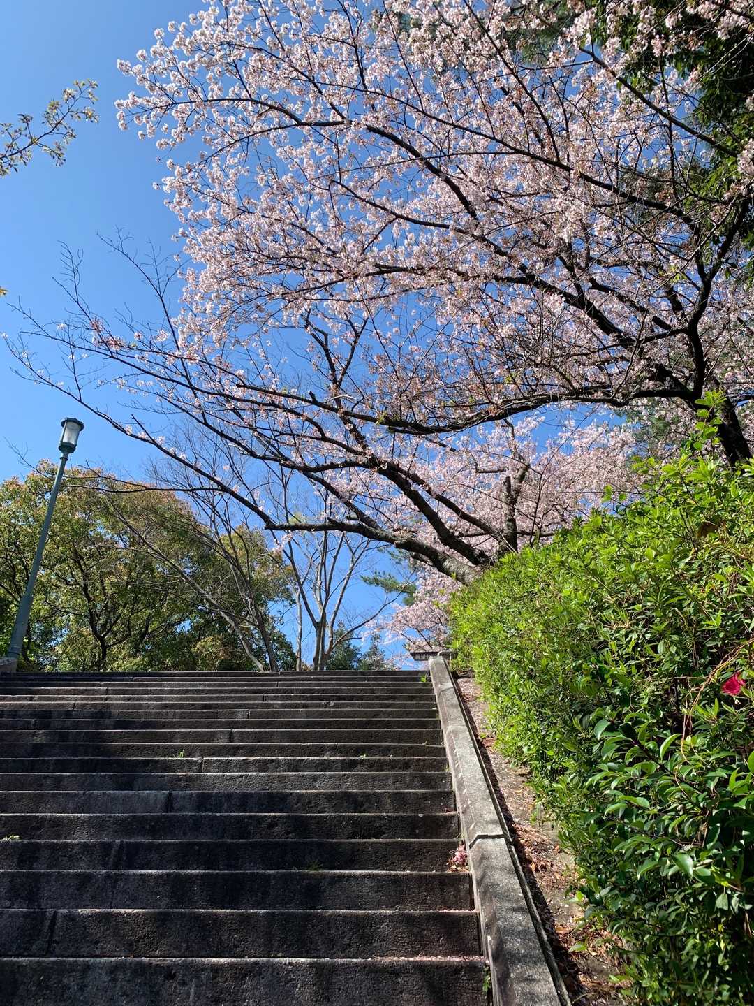 今日は雲ひとつない晴天☀️