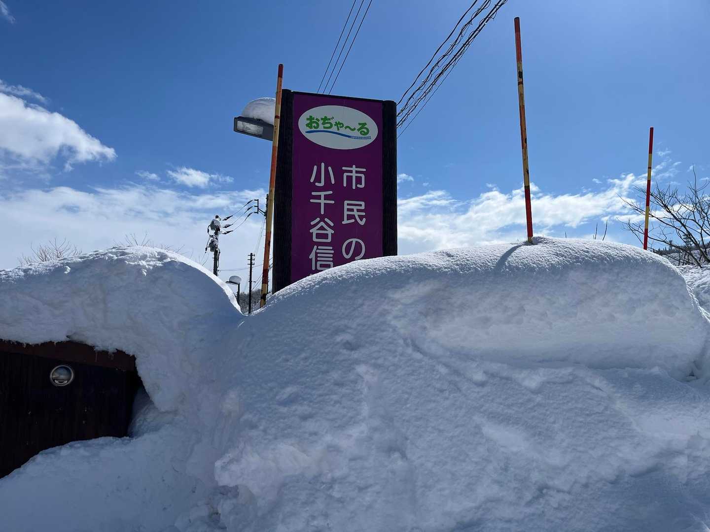 小千谷の雪多いなぁ⛄️